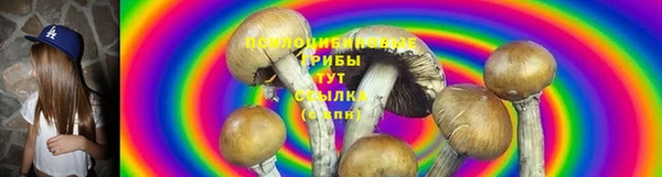 дживик Магадан